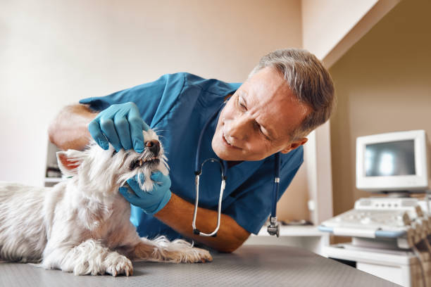 Best Same-Day Emergency Dentist in Richlands, VA